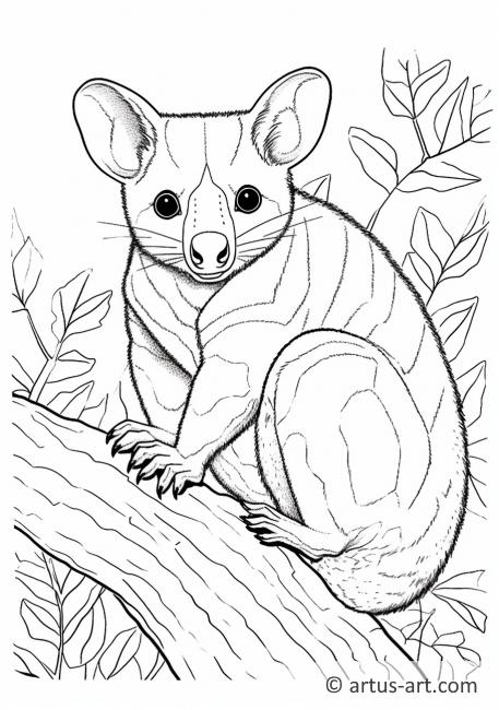 Tree kangaroo Coloring Page